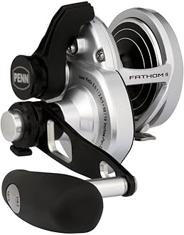 【新品・未開封】PENN (ペン) FATHOMII ファゾム2 ペン(PENN) ファゾムII(Fathom II) 2スピード 80LD2 ☆特別価格